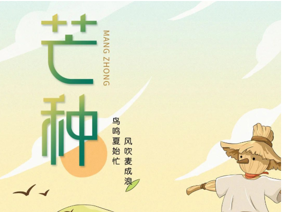 卡百利艺术涂料-二十四节气色彩丨芒种，穗色盈仲夏，美满正此时